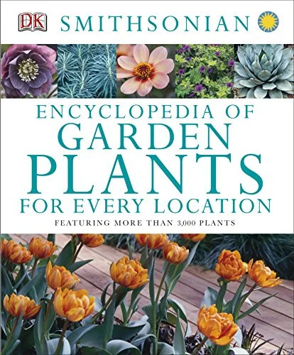 americanbookwarehouse10-856674