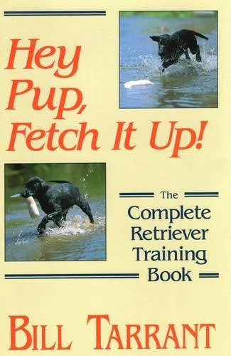 americanbookwarehouse10-868123