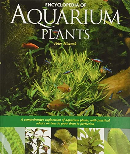 americanbookwarehouse10-872507