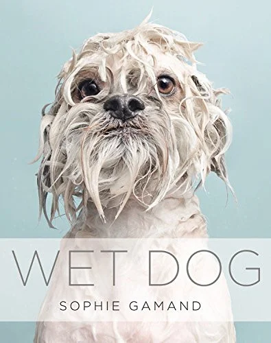 americanbookwarehouse10-875535