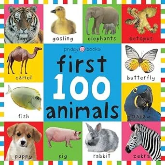 americanbookwarehouse10-879733