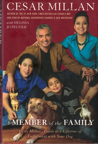 americanbookwarehouse10-895356