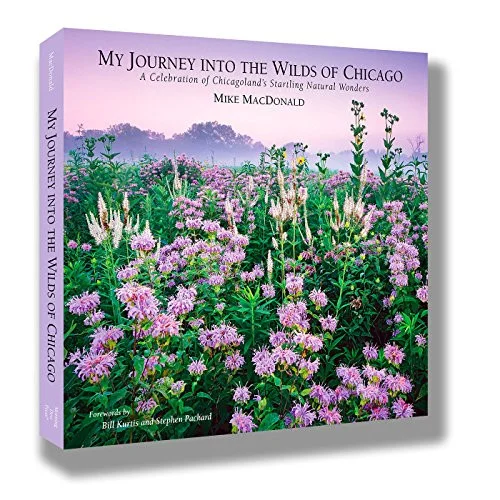 americanbookwarehouse10-899607
