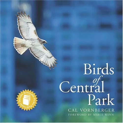 americanbookwarehouse10-900363