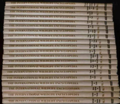 americanbookwarehouse10-922420
