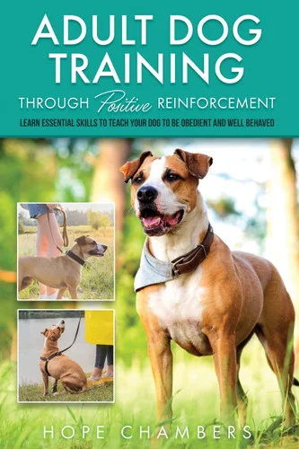 americanbookwarehouse11-1081769