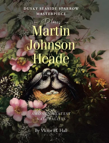 americanbookwarehouse11-1093554