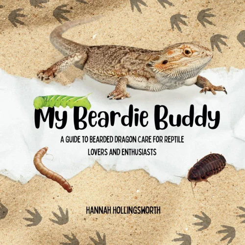 americanbookwarehouse11-1101013