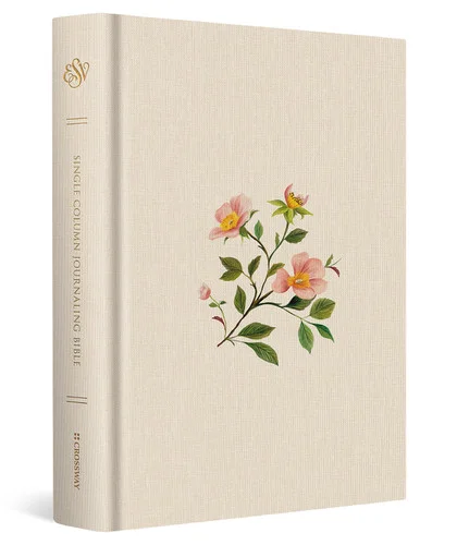 americanbookwarehouse11-1102407