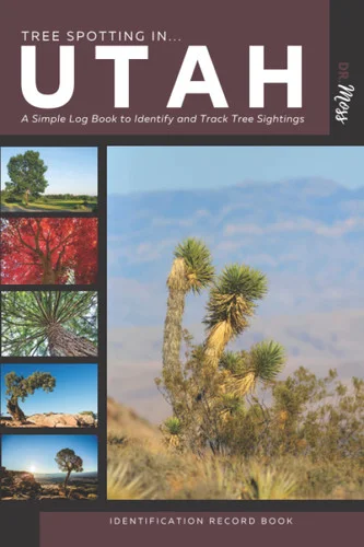 americanbookwarehouse11-1110596