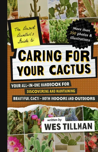 americanbookwarehouse11-1123396