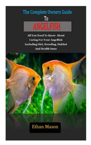 americanbookwarehouse11-1128899