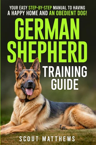 americanbookwarehouse11-1131201