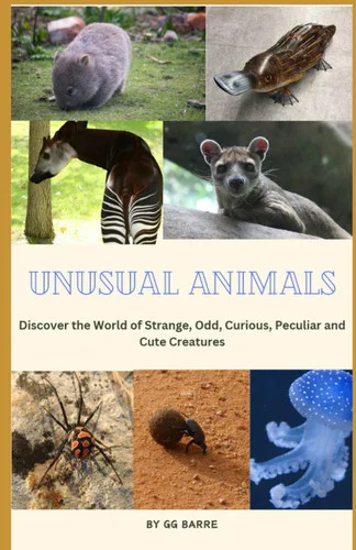americanbookwarehouse11-1138338