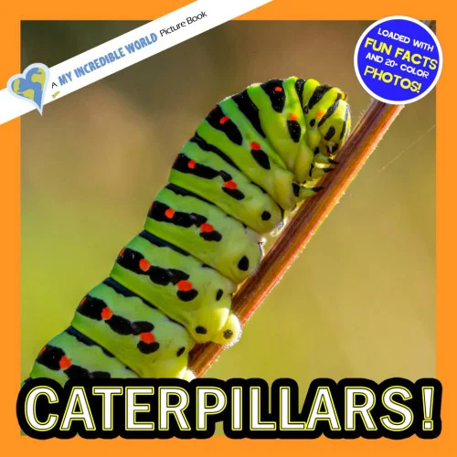 americanbookwarehouse11-1140146