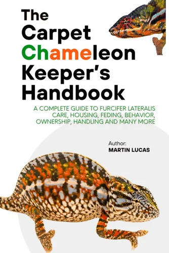 americanbookwarehouse12-1790687