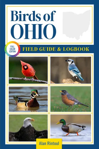 americanbookwarehouse12-1790738