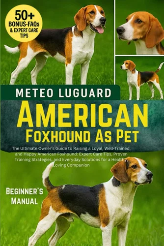 americanbookwarehouse12-1801211