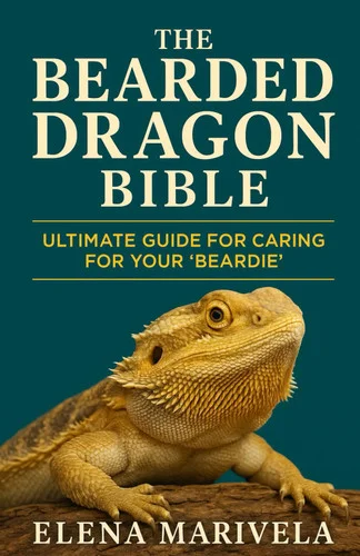 americanbookwarehouse12-1802914