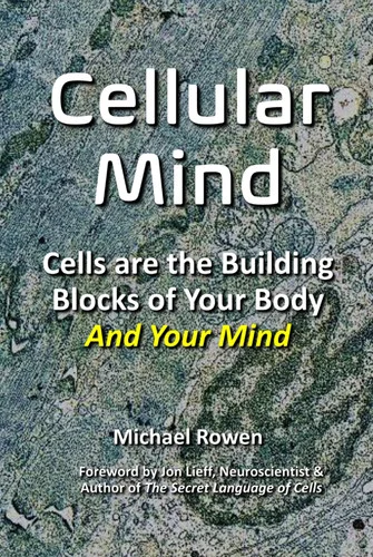 americanbookwarehouse12-1816677