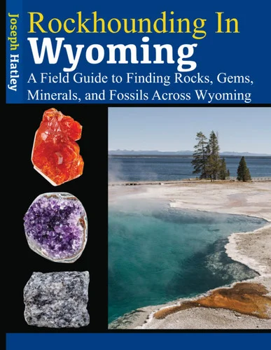 americanbookwarehouse12-1832256