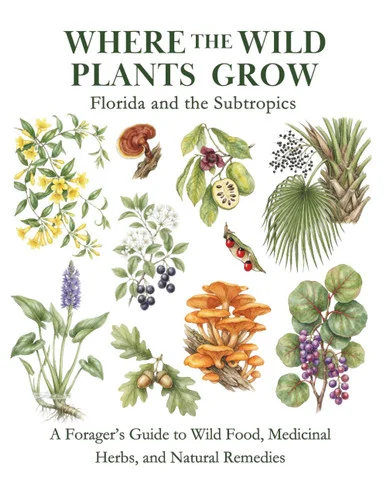 americanbookwarehouse12-1836519