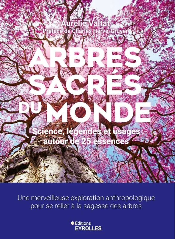 antoineonline9-1358167