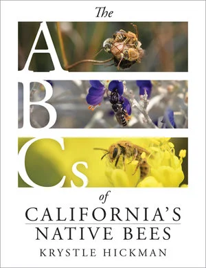 bookcellarinc6-1665728