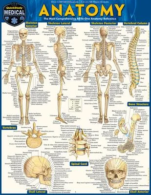 discountmags11-1493774