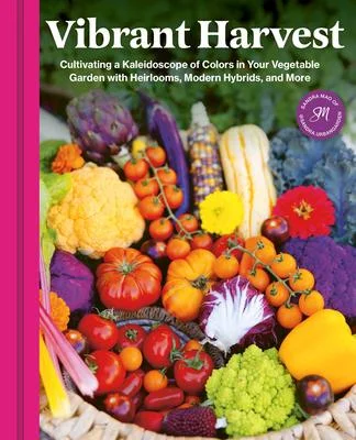discountmags12-1592558
