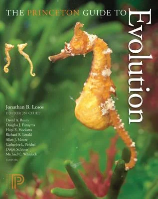 discountmags13-1592441