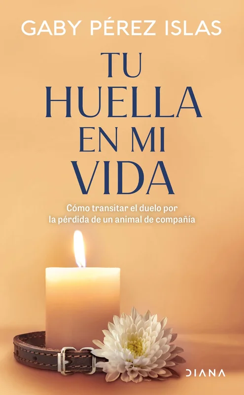 tatteredcover171220466