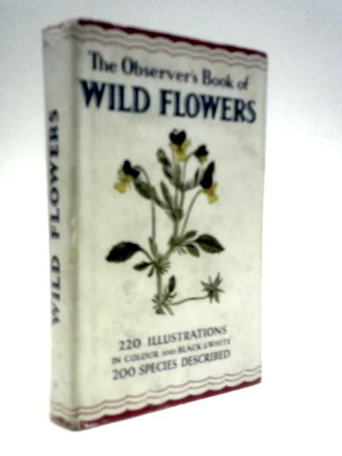 worldofbooks19-1551377