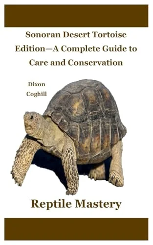 worldofbooks20-1663264