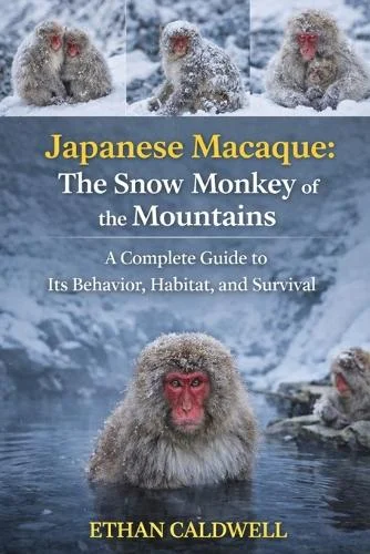 worldofbooks20-1665870